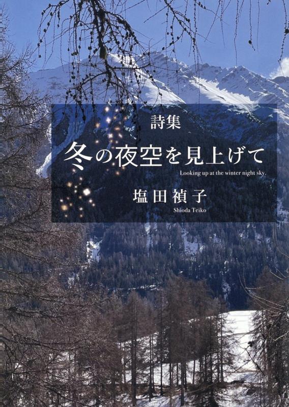 冬の夜空を見上げて