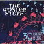 30 GOES AROUND THE SUN [ THE WONDER STUFF ]