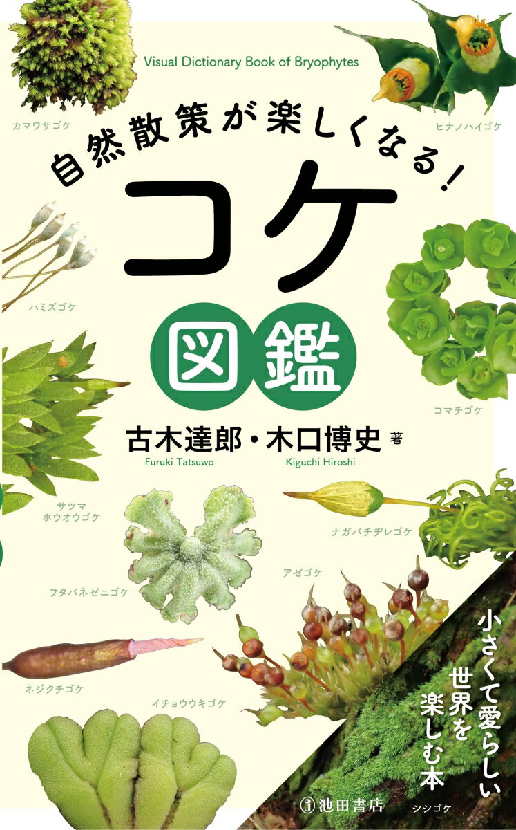 自然散策が楽しくなる！　コケ図鑑 [ 木口 博史 ]