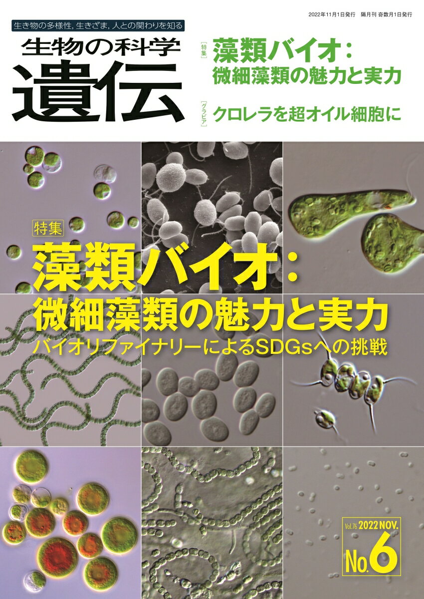 生物の科学　遺伝　2022年11月発行号（Vol.76-No.6） 藻類バイオ：微細藻類の魅力と実力 -バイオリファイナリーによるSDGsへの挑戦 [ 公益財団法人遺伝学普及会 ]