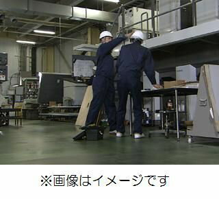 DVD＞階層・職種別パワー・ハラスメントシリーズ（2） 中堅・管理職編 （＜DVD＞） [ 岡田康子 ]