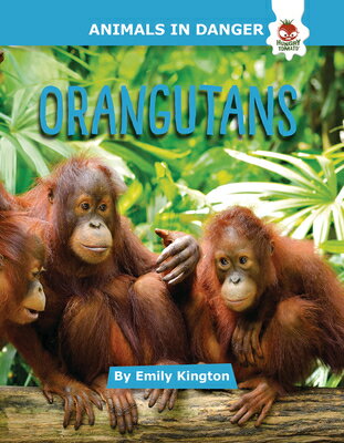 Orangutans ORANGUTANS （Animals in Danger） 