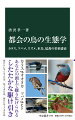 カラスとオオタカの空中戦、コンクリート張りの川で繁殖するカワセミ、高層ビルで子育てするハヤブサ、新たに進出してきたイソヒヨドリ、スズメやツバメの営巣地の栄枯盛衰…。都会は自然の少ない人工的な環境だが、鳥たちはしたたかに適応して生きている。身近な鳥、珍しい鳥、意外な鳥たちの知られざる生態を紹介するとともに、人間と鳥たちとの関係の変化も解説、読めば街歩きが楽しくなる。写真多数、カラー口絵１６頁。