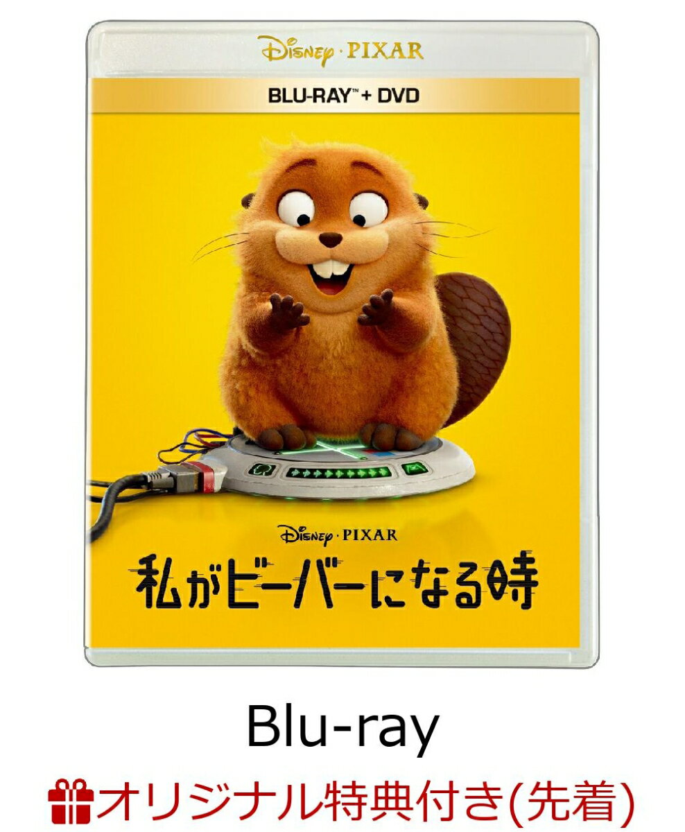 【楽天ブックス限定先着特典】私がビーバーになる時 ブルーレイ+DVD セット【Blu-ray】(アクリルキーホルダー)