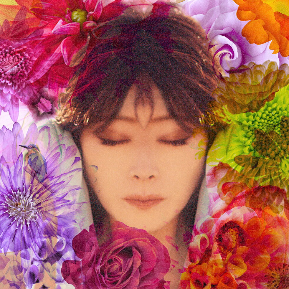 FIXER (初回限定盤 CD＋DVD) [ 中森明菜 ]