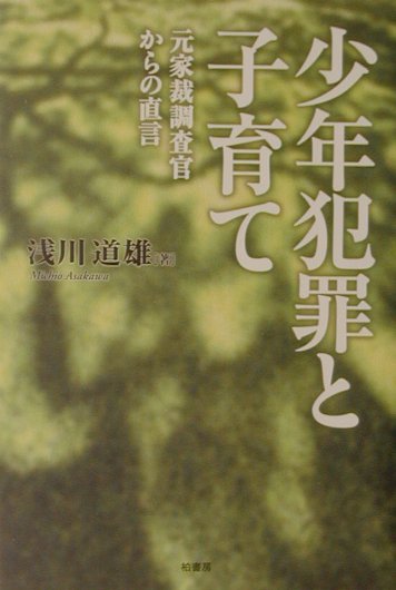 少年犯罪と子育て 元家裁調査官からの直言の表紙