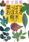 原寸図鑑葉っぱでおぼえる樹木 [ 濱野周泰 ]