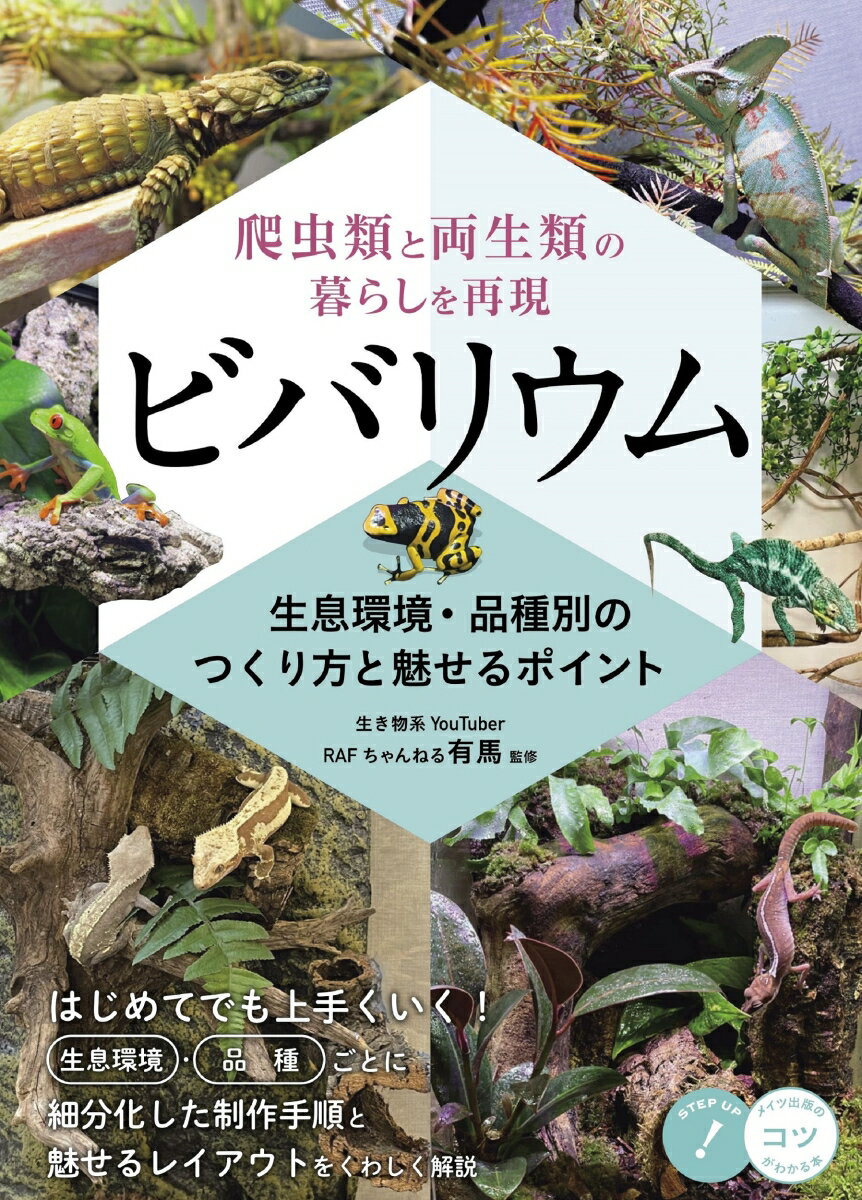 爬虫類と両生類の暮らしを再現 ビバリウム 生息環境・品種別のつくり方と魅せるポイント [ RAF ちゃんねる 有馬 ]