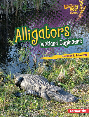 Alligators: Wetland Engineers ALLIGATORS （Lightning Bolt Books (R) -- Ecosystem Engineers） 
