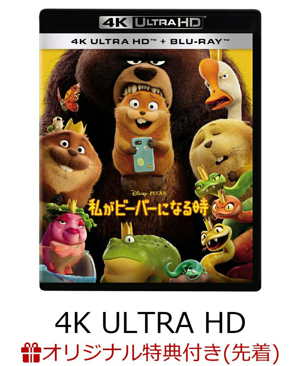 【楽天ブックス限定先着特典】私がビーバーになる時 4K UHD ＋ ブルーレイ セット【4K ULTRA HD】(アクリルキーホルダー)