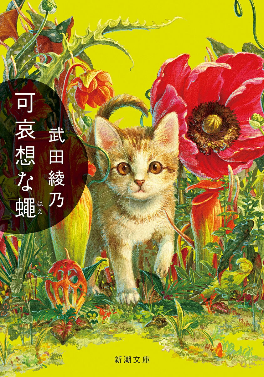 「彼は、ただの目障りなハエだ」。SNSの投稿がバズったのをきっかけに絡んできた粘着質なアカウント。誰彼構わず罵詈雑言を吐いてはブロックされている彼を、大学生の芽衣子はスマホの中で「飼う」と決めるが……。ネット社会に満ちる匿名の悪意を描く衝撃の表題作ほか、家族や友達、ご近所さんなどさまざまな人間関係のなかで、目を背けたくなる感情と対峙する女性たちをとらえた短篇集。