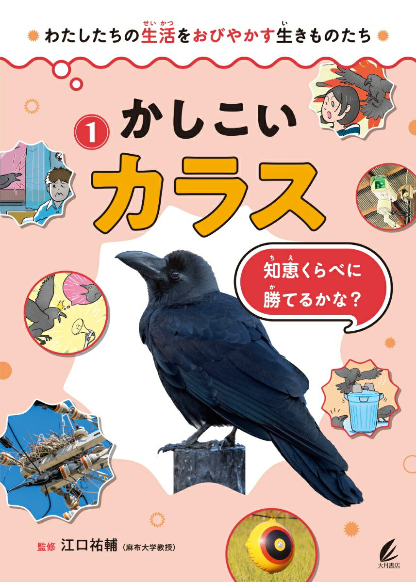 かしこいカラス（1）