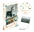 猫たちと私たちの“これから”の物語
解体が近づくソウルにあるマンモス団地ーーー
そこに暮らす250匹のノラ猫たちのお引越し大作戦

★伝説的デビュー作『子猫をお願い』のチョン・ジェウン監督、待望の最新作は、猫目線で＜地域猫＞と人々の暮らしをほんわか、あたたかく見つめるドキュメンタリー！
フィクションとノンフィクションを自在に手掛け、独自の作品歴を築き上げたチョン監督。この最新ドキュメンタリーでは、
2年半に及ぶ撮影を通じ、巨大団地の解体というダイナミックな映像を背景に、
自由気ままに団地を闊歩する個性豊かな猫たちの姿を、地面スレスレに構えた猫目線のカメラで活き活きと描き出す。

★かつてアジア最大と呼ばれたマンモス団地に暮らす250匹の猫たちを救い出すべく立ち上がった住人たち。猫と住民によるお引越し大作戦が始まる！ 

★2022年12月23日より、全国39館にてロードショー公開

第12回DMZ国際ドキュメンタリー映画祭正式出品
第4回平昌国際平和映画祭正式出品
第24回ソウル国際女性映画祭正式出品