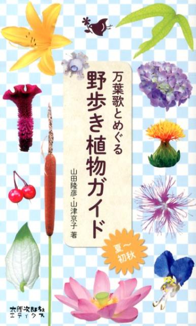 山田隆彦 山津京子 太郎次郎社マンヨウカ ト メグル ノアルキ ショクブツ ガイド ヤマダ,タカヒコ ヤマツ,キョウコ 発行年月：2013年08月05日 ページ数：190p サイズ：図鑑 ISBN：9784811807621 山田隆彦（ヤマダタカヒコ） 「日本植物友の会」副会長。1945年生まれ。朝日カルチャーセンターなどで植物講座や観察会を開催。植物図鑑・雑誌の執筆や監修、写真提供など、幅広く活躍中 山津京子（ヤマツキョウコ） フリーランス編集＆ライター。中高年向けの食と旅の専門誌の取材・執筆をはじめ、育児・幼児雑誌など多数手がける（本データはこの書籍が刊行された当時に掲載されていたものです） 夏〜初秋に花期を迎える万葉植物47種と、それらと関わりの深い身近な植物165種を掲載。 本 科学・技術 植物学