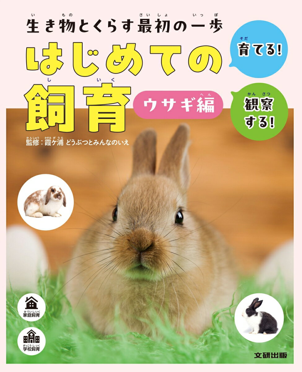 生き物とくらす最初の一歩　はじめての飼育　ウサギ編