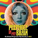 【輸入盤】Peephole In My Brain: The British Progressive Pop Sounds Of 1971 (3CD Capac...