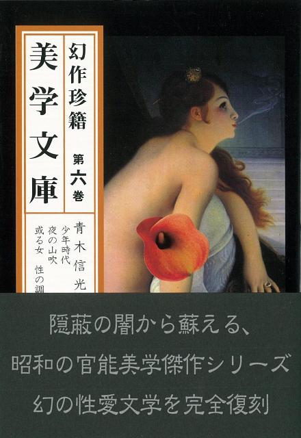 【バーゲン本】幻作珍籍美学文庫　第六巻