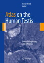 Atlas on the Human Testis: Normal Morphology and Pathology ATLAS ON THE HUMAN TESTIS 2013 