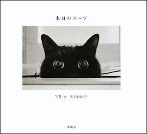 気が小さくてさみしがり、でもたまに強気のチビねこスープ。目ぢからひとつで乗り切れる！視線の先にとらえたものは…。