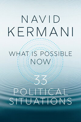 What Is Possible Now: 33 Political Situations WHAT IS POSSIBLE NOW 