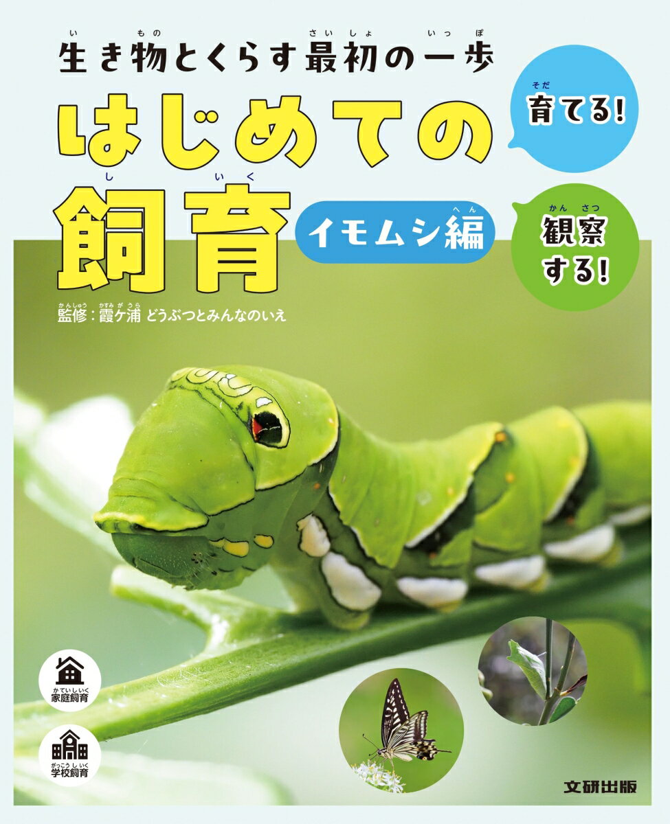 生き物とくらす最初の一歩　はじめての飼育　イモムシ編