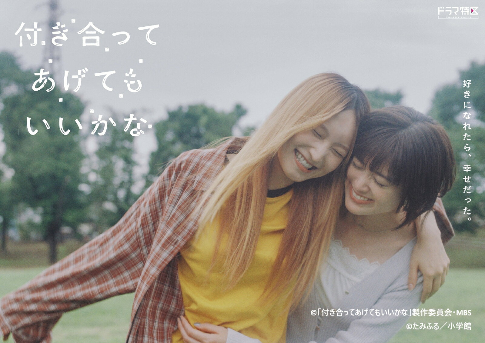 付き合ってあげてもいいかな DVD-BOX