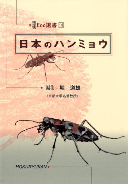 日本のハンミョウ