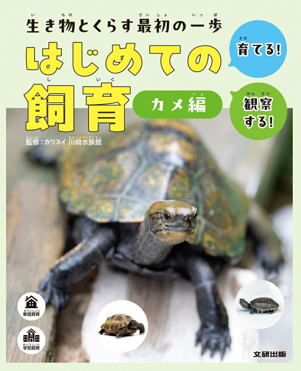 生き物とくらす最初の一歩 はじめての飼育 カメ編