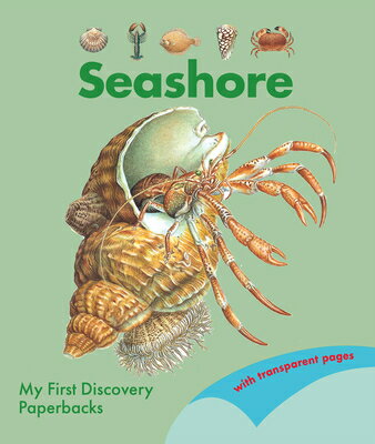 Seashore SEASHORE （My First Discovery Paperbac