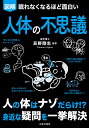 眠れなくなるほど面白い 図解 人体の不思議 人の体はナゾだらけ！？身近な疑問を一挙解決 荻野 剛志