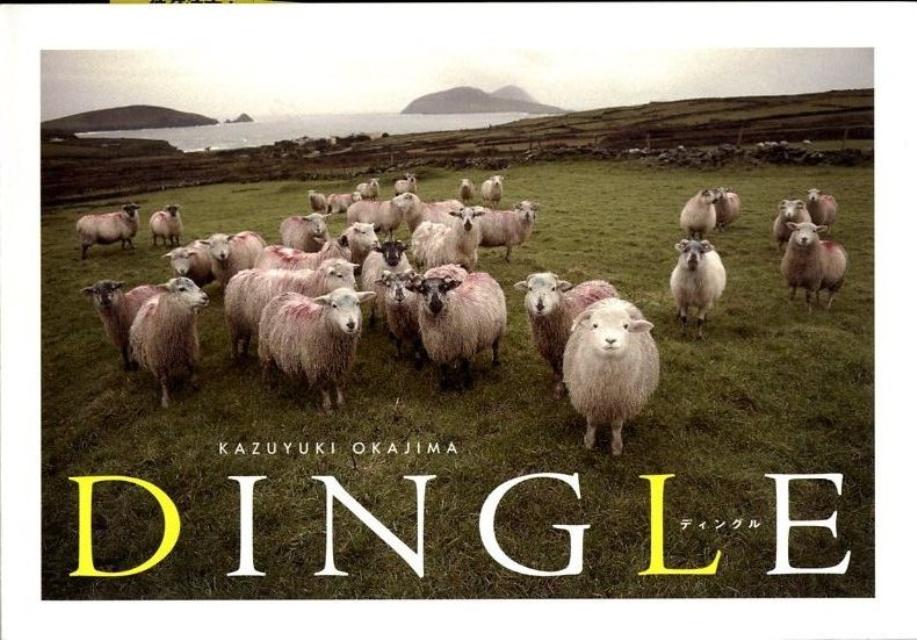 Dingle