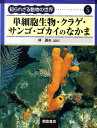 知られざる動物の世界（5） 単細胞生物・クラゲ・サンゴ・ゴカイのなかま