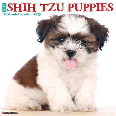Just Shih Tzu Puppies 2023 Wall Calendar JUST SHIH TZU PUPPIES 2023 WAL [ Willow Creek Press ]