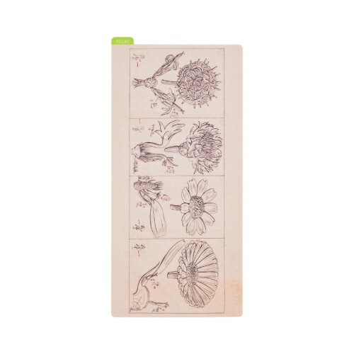 ほぼ日手帳 牧野富太郎/ほぼ日の下敷き 牧野富太郎（weeksサイズ用） 手帳アクセサリー