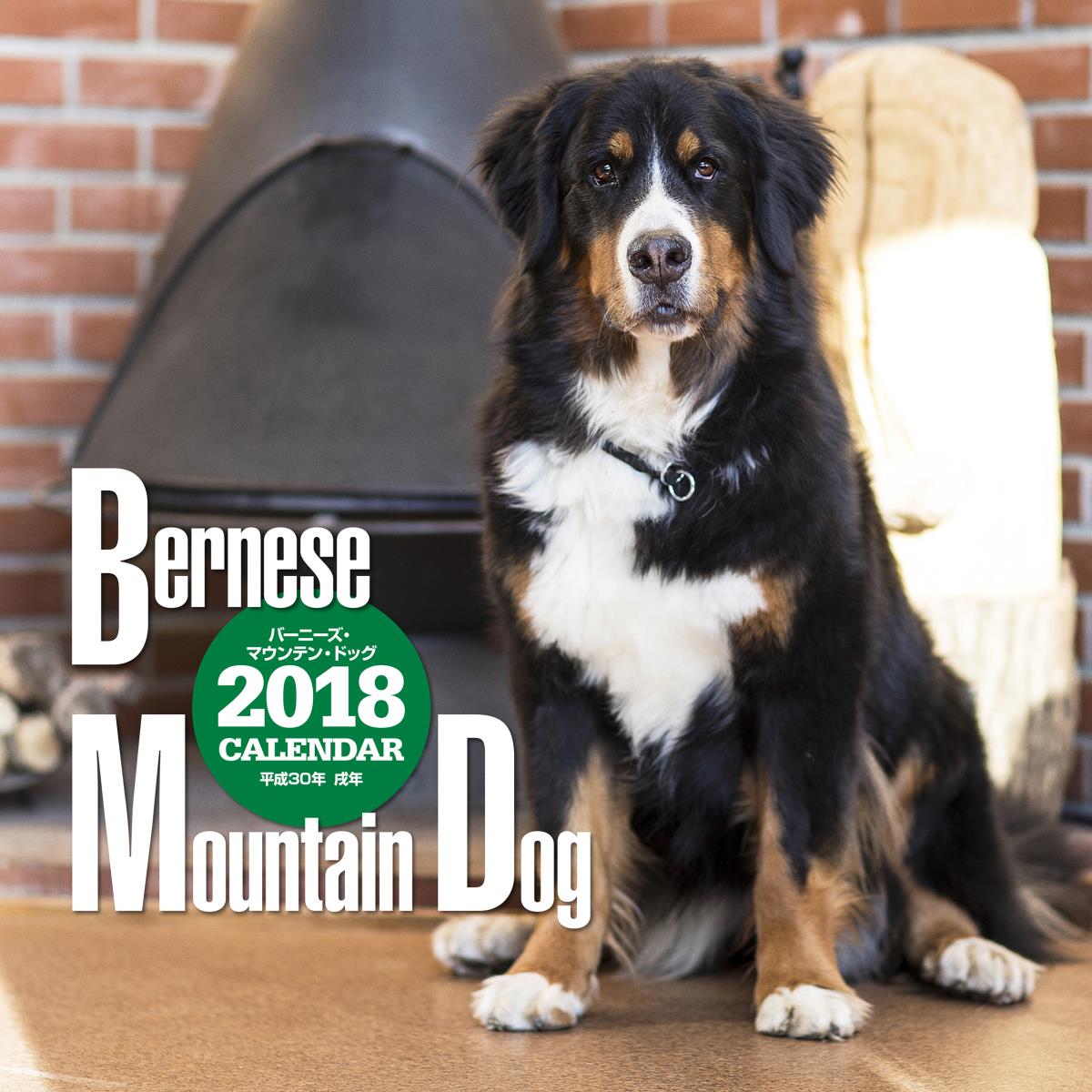 2018年大判カレンダー バーニーズ・マウンテン・ドッグ
