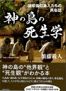 神の島の死生学 琉球弧の島人たちの民俗誌 