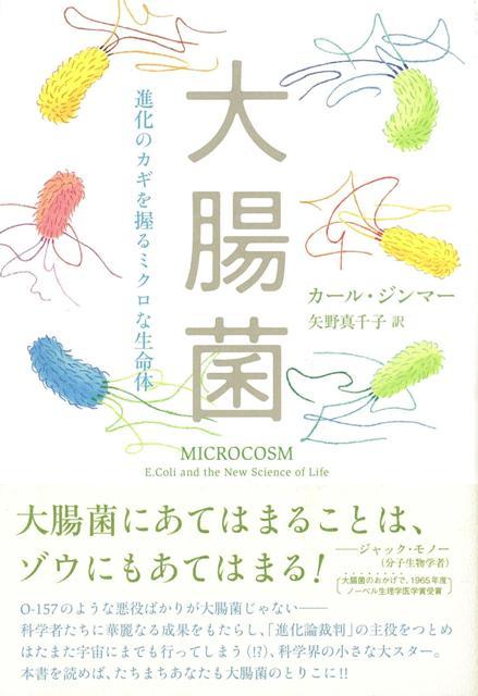 【バーゲン本】大腸菌ー進化のカギを握るミクロな生命体