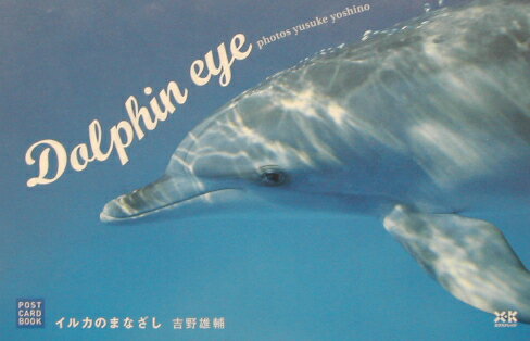 Dolphin　eye
