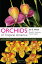 Orchids of Tropical America: An Introduction and Guide ORCHIDS OF TROPICAL AMER [ Joe E. Meisel ]