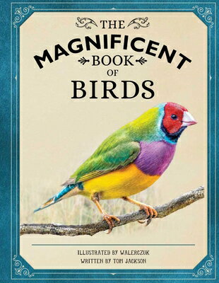 The Magnificent Book of Birds MAGNIFICENT BK OF BIRDS （Magnificent Book of） [ Weldon Owen ]