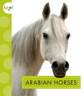 Arabian Horses ARABIAN HORSES （Spot Horses） [ Alissa Thielges ]