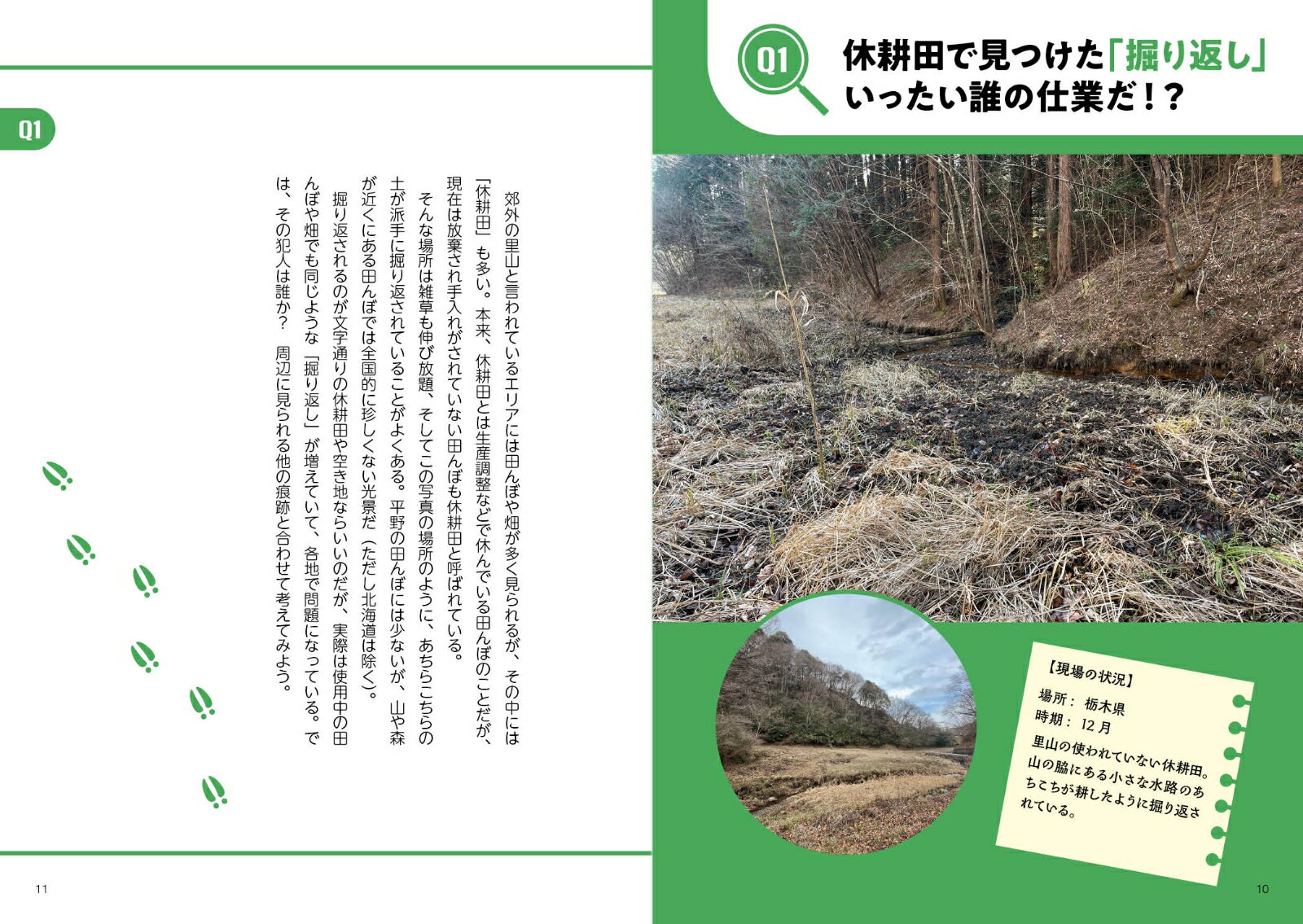野生動物の痕跡図鑑　ツキノワグマからアライグマまで見分けて役立つフィールドサイン入門 [ 奥山英治 ] 2