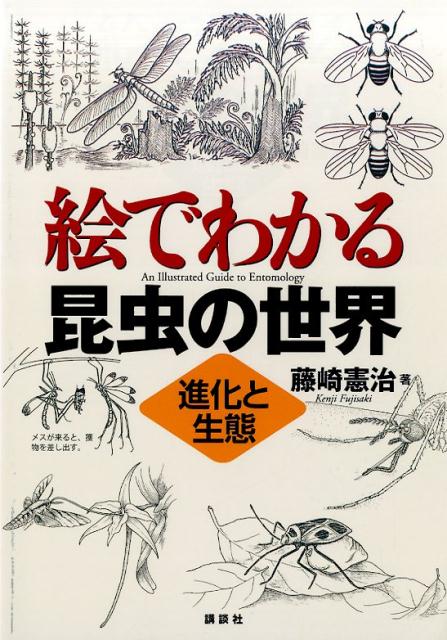 絵でわかる昆虫の世界　進化と生態