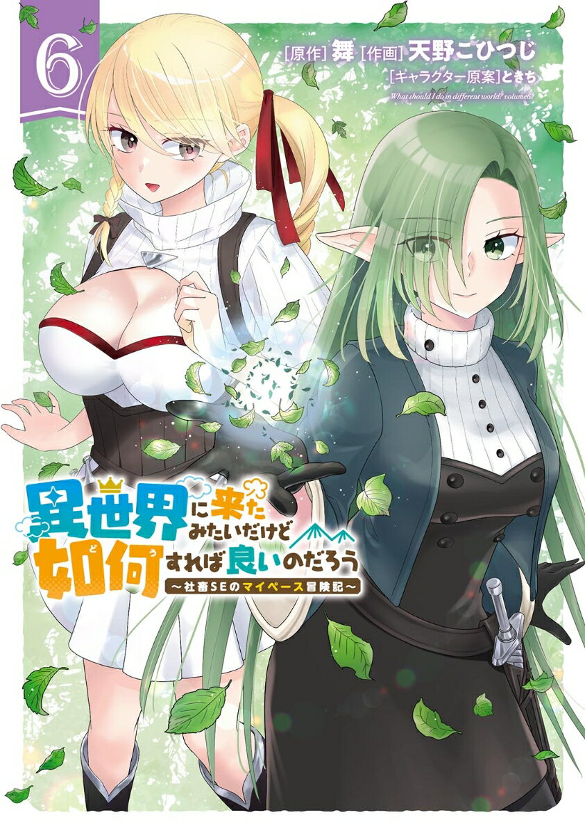異世界に来たみたいだけど如何すれば良いのだろう（6）の表紙画像
