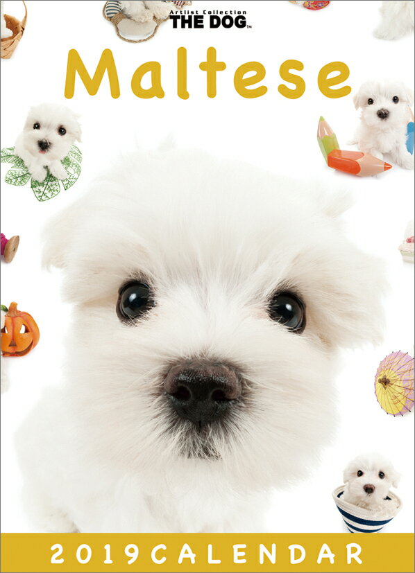 卓上 マルチーズ（2019年1月始まりカレンダー）