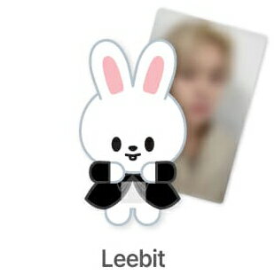 【先着特典】[DO IT] SKZOO FIGURE (CLIMBING VER.) (Leebit Ver.)(フォトカード1枚(8種ランダム1種))