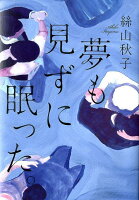 絲山秋子『夢も見ずに眠った。』表紙