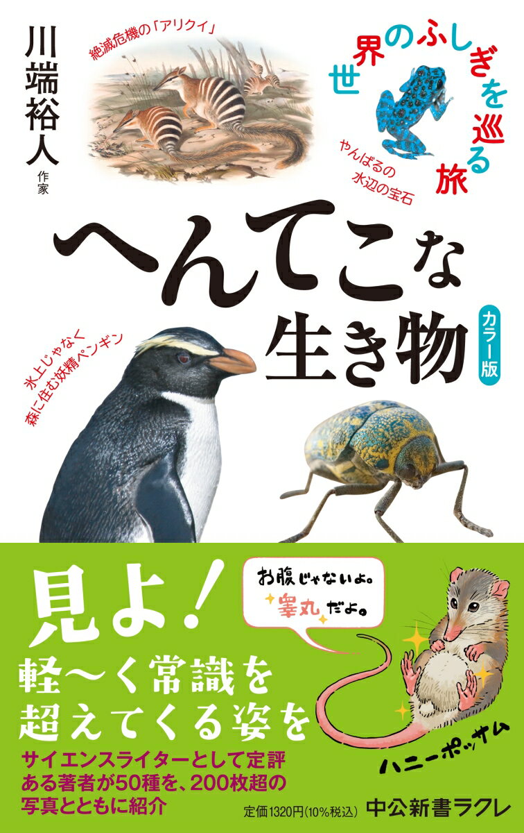 カラー版 へんてこな生き物