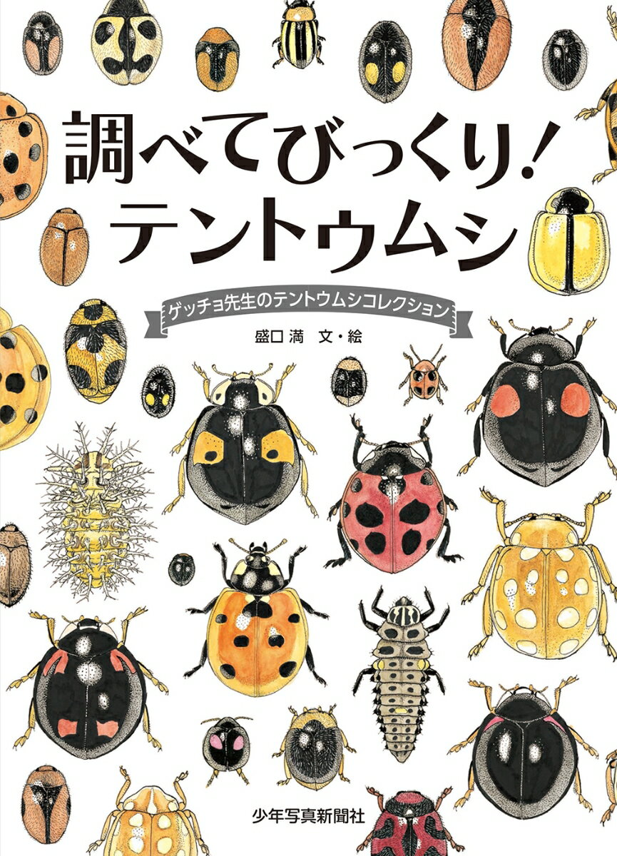 調べてびっくり！ テントウムシ ゲッチョ先生のテントウムシコレクション （ゲッチョ先生の自然誌コレクション） [ 盛口満 ]