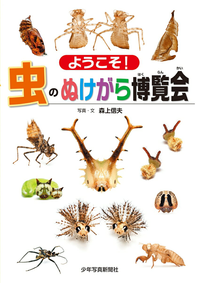 楽天市場】歌麿 画本虫撰の通販 楽天市場】歌麿 画本虫撰の通販